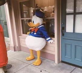 娱乐圈爆料唐老鸭事件,唐老鸭事件真相揭秘 第1张 娱乐圈爆料唐老鸭事件,唐老鸭事件真相揭秘 第1张